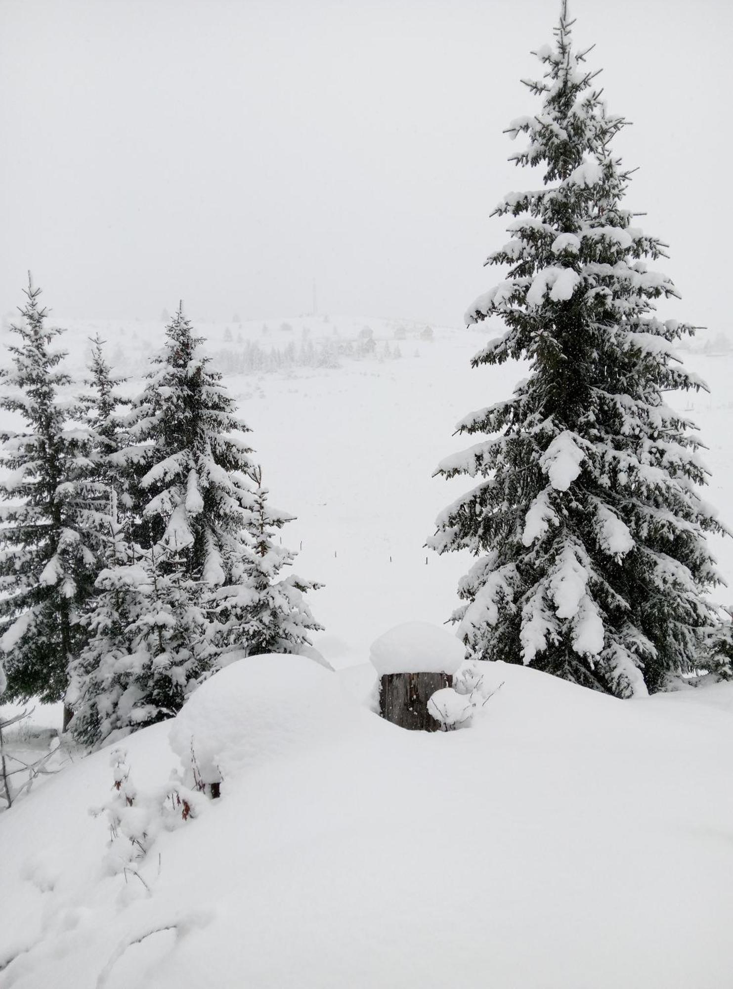 Durmitor Apartman Žabljak Kültér fotó